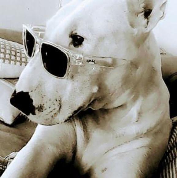 Meet your Posher, Andy - Picture 1 of 1